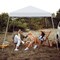 Costway 10x10ft Patio Outdoor Instant Pop-up Canopy Slanted Leg UPF50+ Sun Shelter
